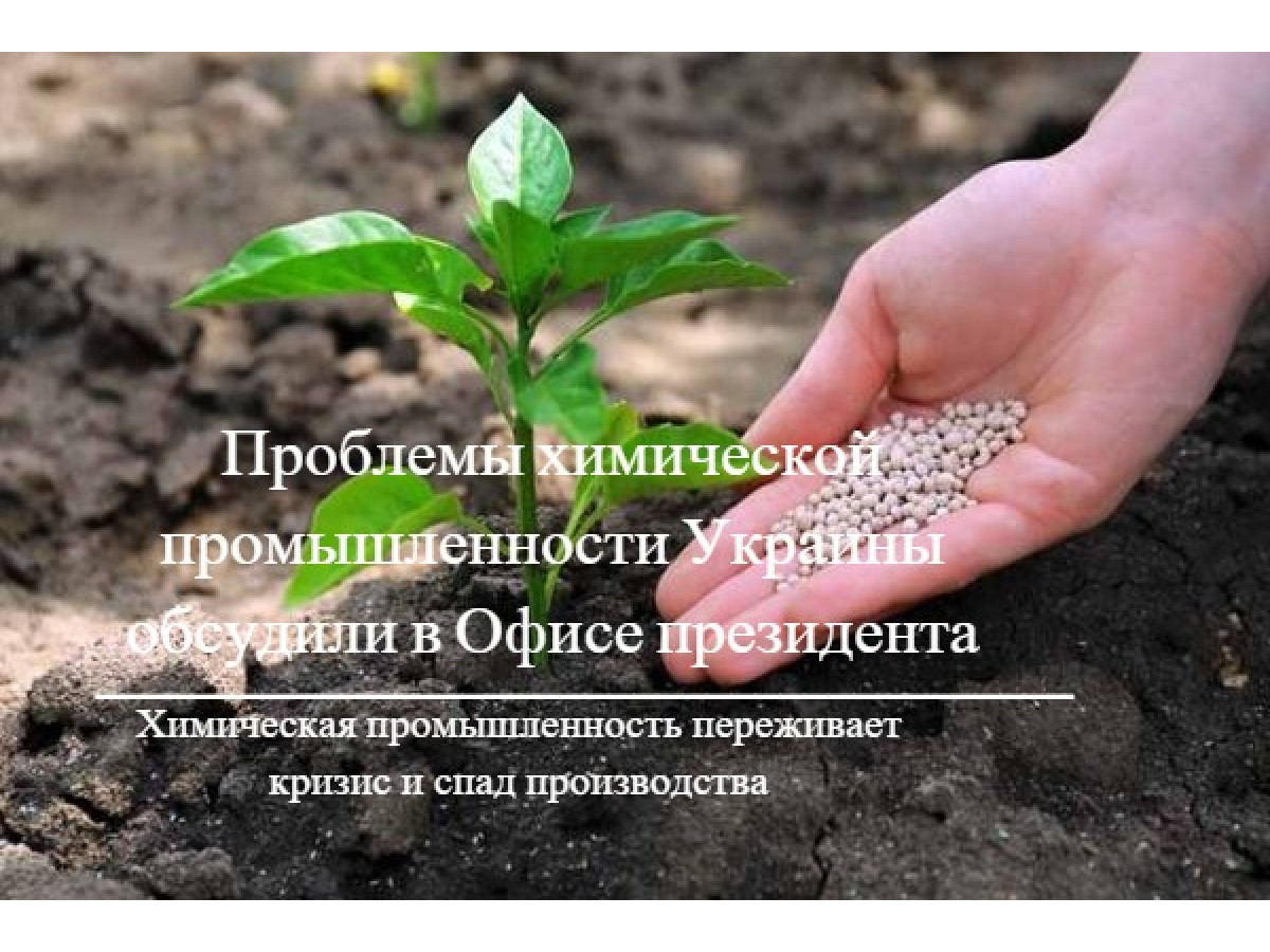 "Украинские химики требуют ограничить импорт минеральных удобрений"